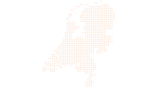 Snel Wonen